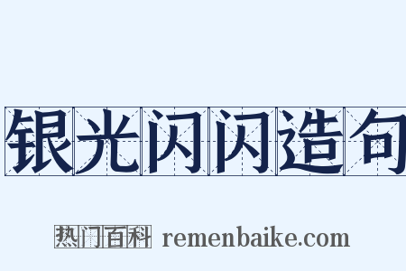 银光闪闪造句是什么意思的图片